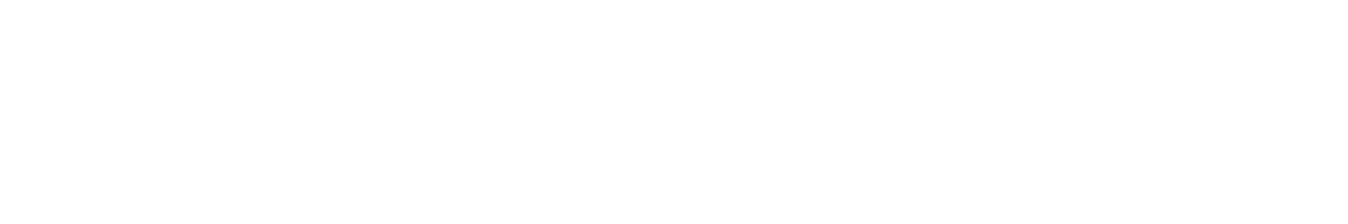 SANVEL MOBILE